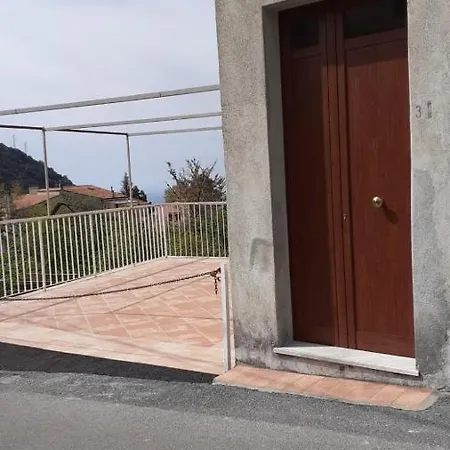 Ciccotta's Holiday House In *